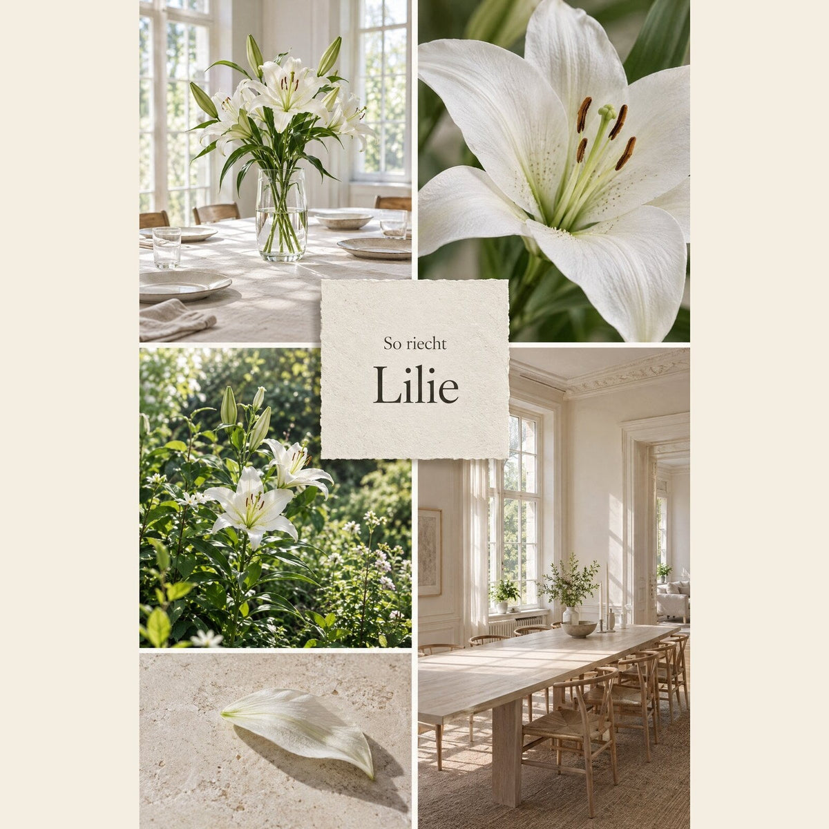 So riecht Lilie